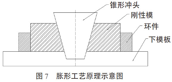 t7.jpg